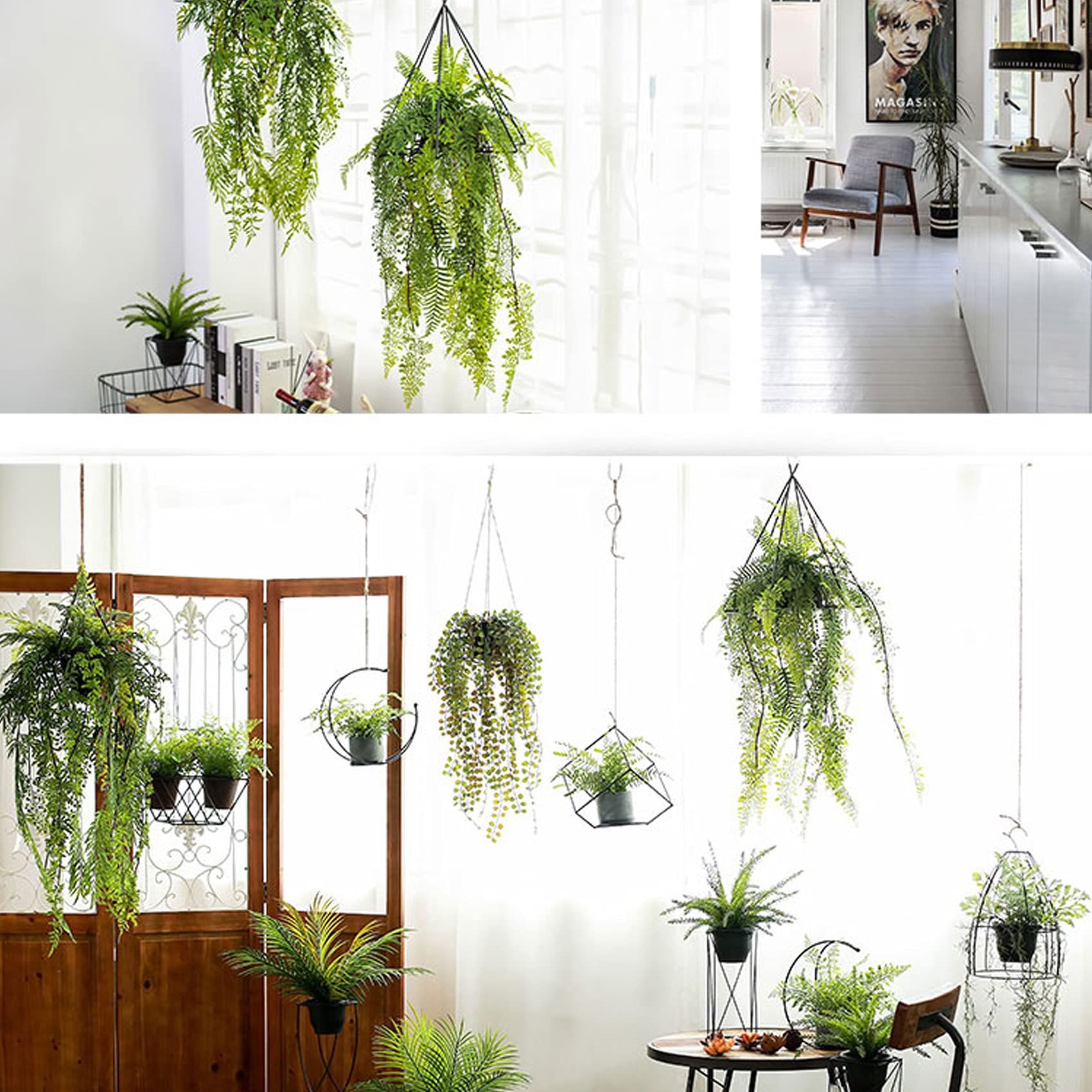 壁掛けインテリア 壁飾り シダ植物 01401a.jpg