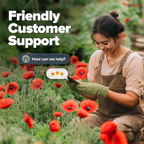 Miniatura 7 de HOME GROWN American Legion - Semillas de amapola roja, 6.000 semillas de flores silvestres vibrantes para plantar al aire libre, flores de amapola