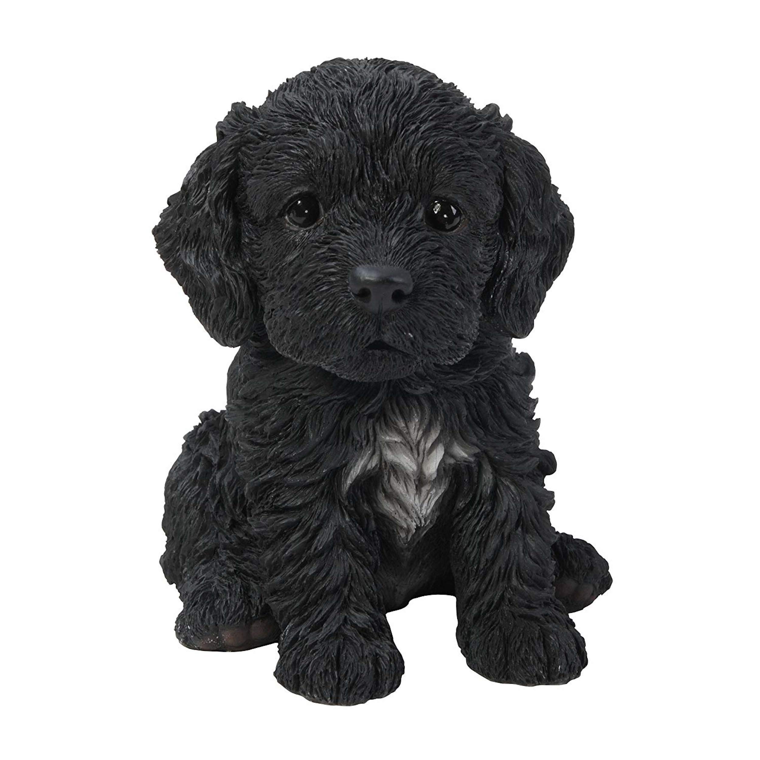 toy cockapoo puppies
