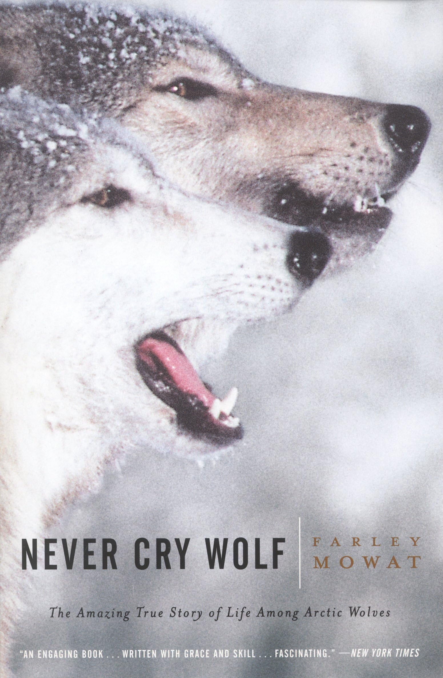 Never Cry Wolf : Amazing True Story of Life Among Arctic Wolves Paperback – September 13, 2001