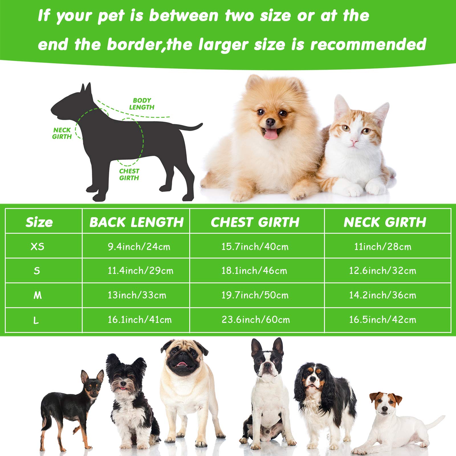2 Pieces Pet Dog Raincoat Clear Pet Waterproof Clothes Hooded Rain Jacket Plastic Puppy Rain Poncho Rainwear for Small Medium Dog(S,Blue and Green)