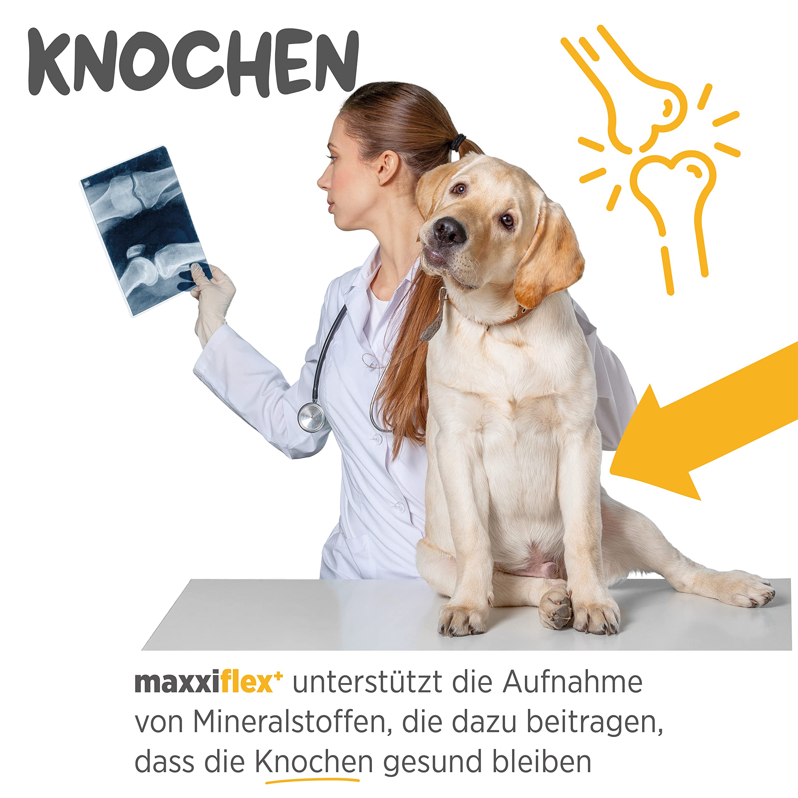 maxxiflex+ Gelenktabletten für Hunde – Teufelskralle, MSM, Glucosamin, Hyaluronsäure, Chondroitin, Bromelain, Kurkuma – 120 Stück