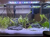 Review Image by Kierstynn Bailey Kierstynn Bailey