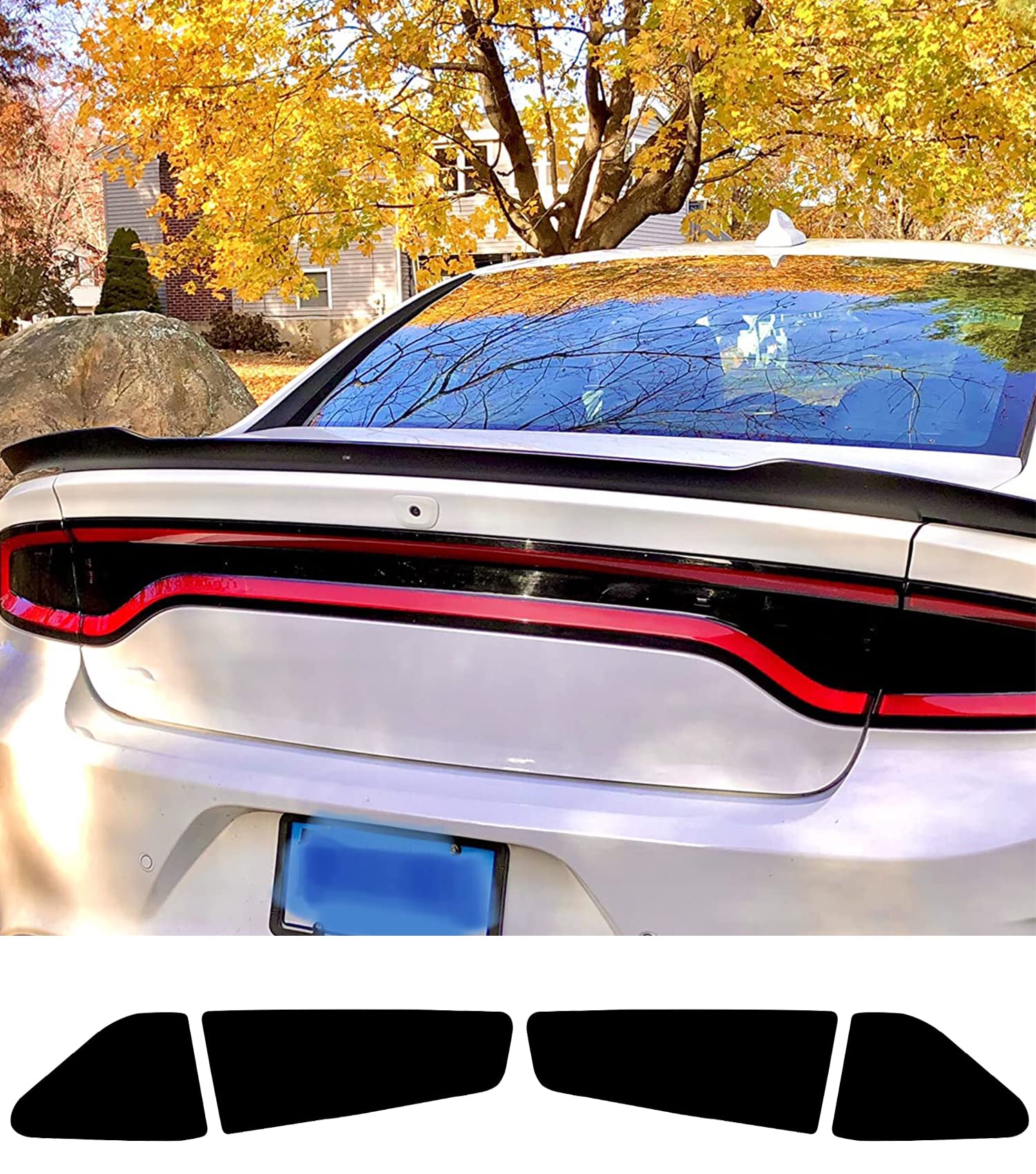 Dodge Charger Back Lights