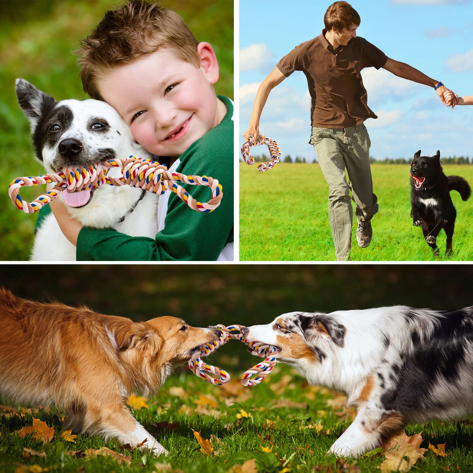 Langlebiges Kauspielzeug für Hunde, Aggressives Kauseilspielzeug, Kauspielzeug für mittelgroße und große Hunde, Zahnreinigung, Langweiliges Hundespielzeug und Zahnschleifende