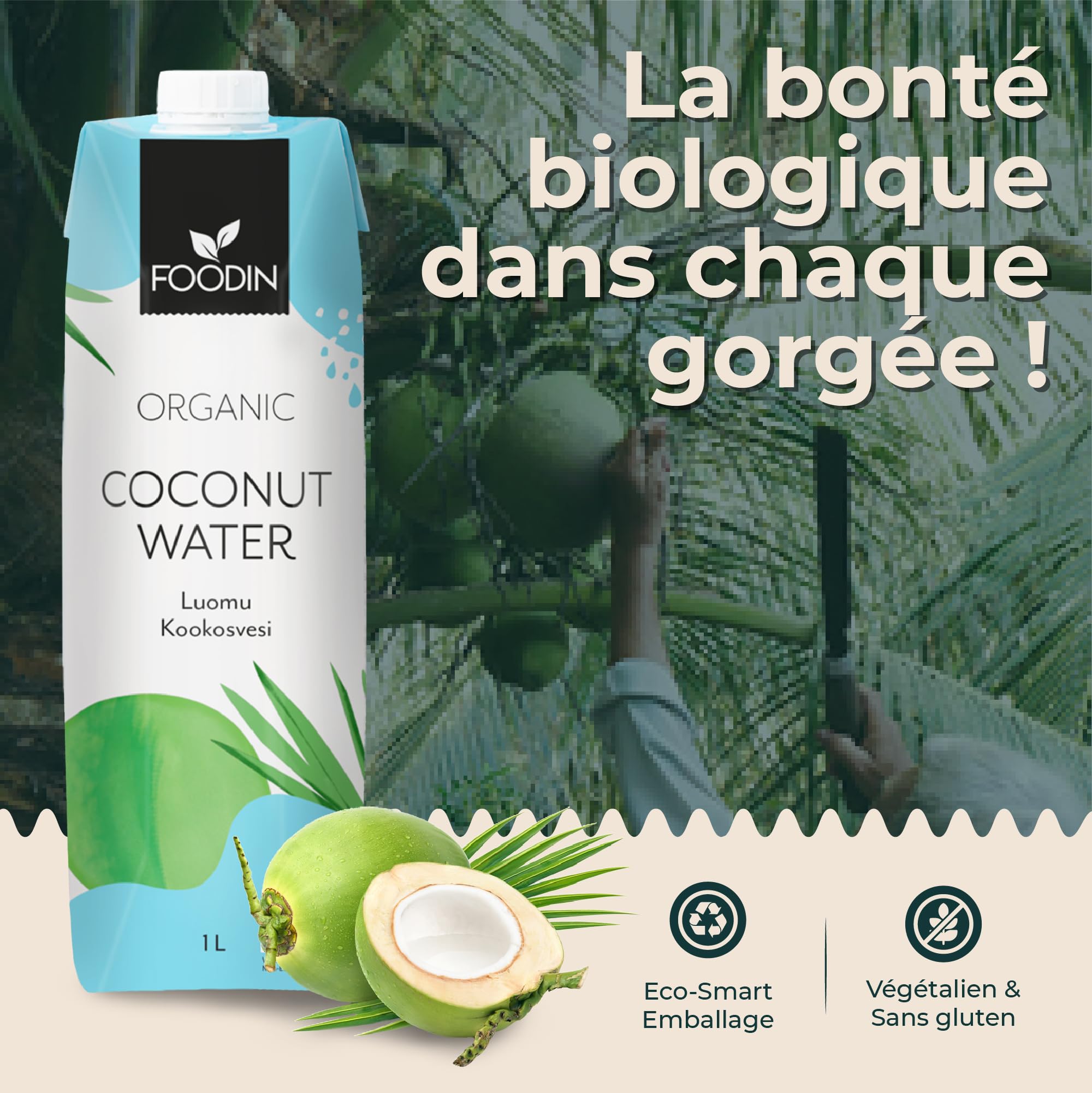 Foodin Eau de coco Bio, Naturellement hydratante avec des électrolytes, Sans gras, Sans gluten, Sans OGM, Faible en calories - Désaltérant apaisant - Paquet de 6 (6x1000ml)
