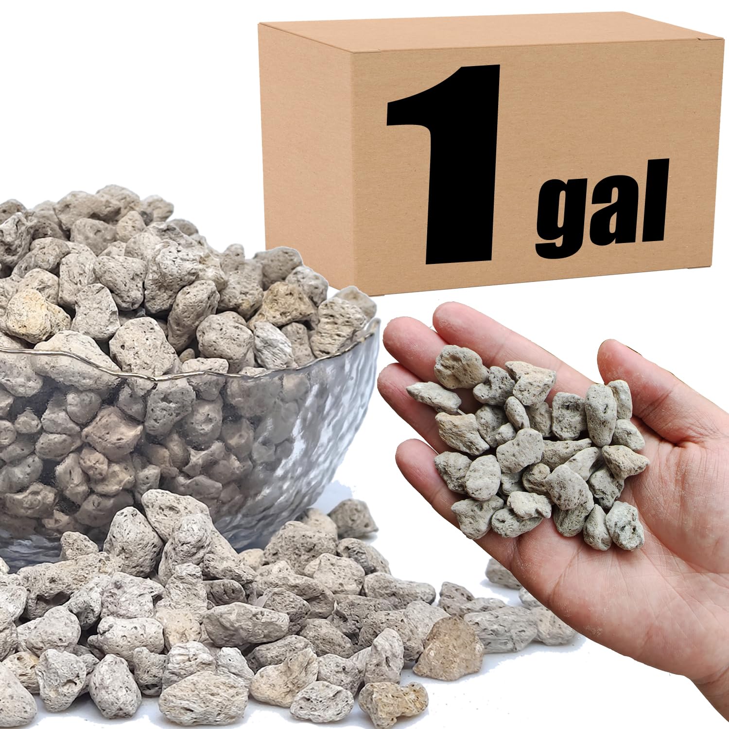 Organic Pumice for Bonsai and Horticultural 100% Natural (1 gallons, 1/2 inch)