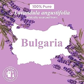 Handcraft Blends Organic Lavender Essential Oil - 1 Fl Oz - 100% Pure and Natural - Premium Grade Essential Oil for Diffuser and Aromatherapy