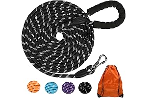 100ft Long Dog Leash for Training