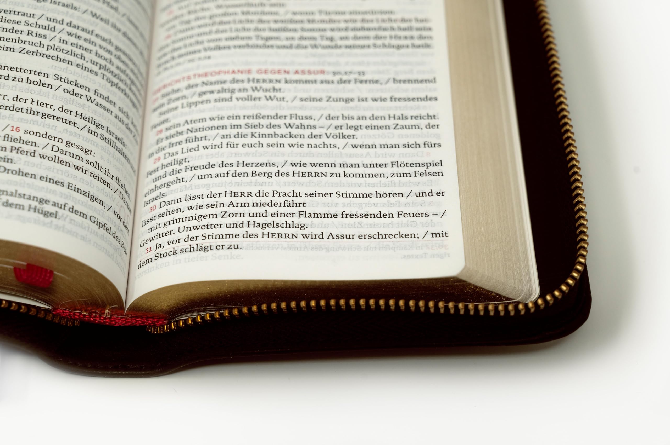 Die Bibel: Taschenausgabe in braunem Echtleder: Einheitsübersetzung