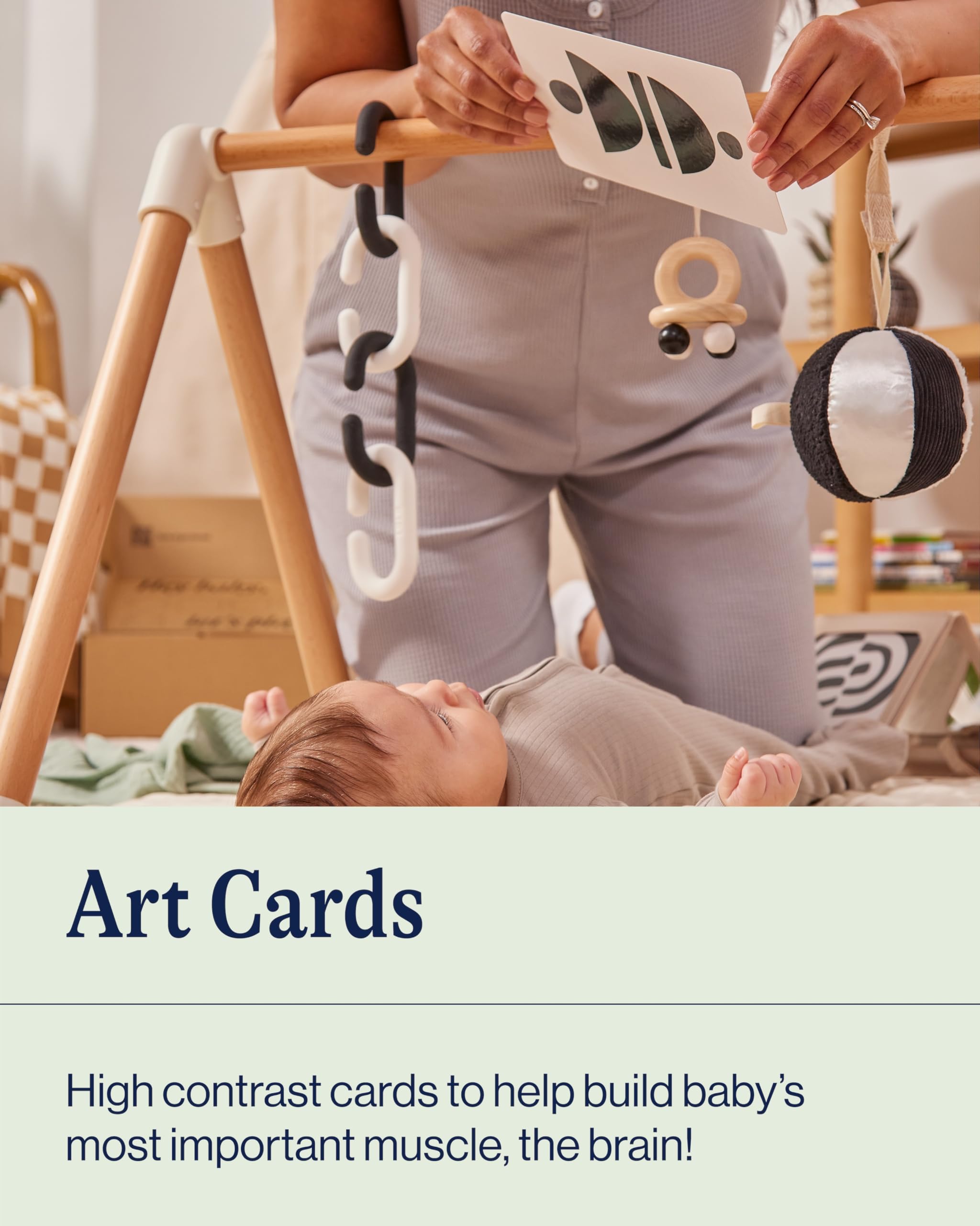 Amazon.com: Lalo Art Cards - Set of 6 High Contrast Baby Cards for