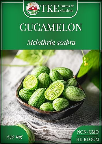 TKE Farms & Gardens - Semillas de cucamelón para plantar, reliquia sin OMG, pepinillo agrio mexicano, melón de ratón, 250 mg ( 75 semillas), incluye