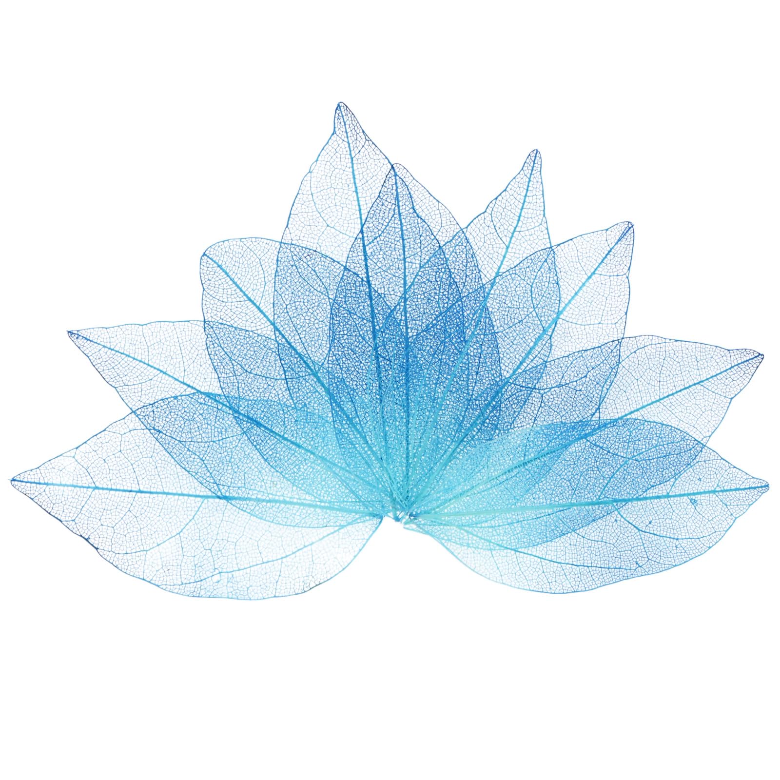 M METERXITY 100-Pack Skeleton Leaves 4-6cm Natural Rubber Tree