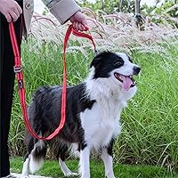 Vista 7 de EXCELLENT ELITE SPANKER Correa de nailon reflectante de doble capa para perro, con asa acolchada, correas de nailon de 5 pies para perros para Negro