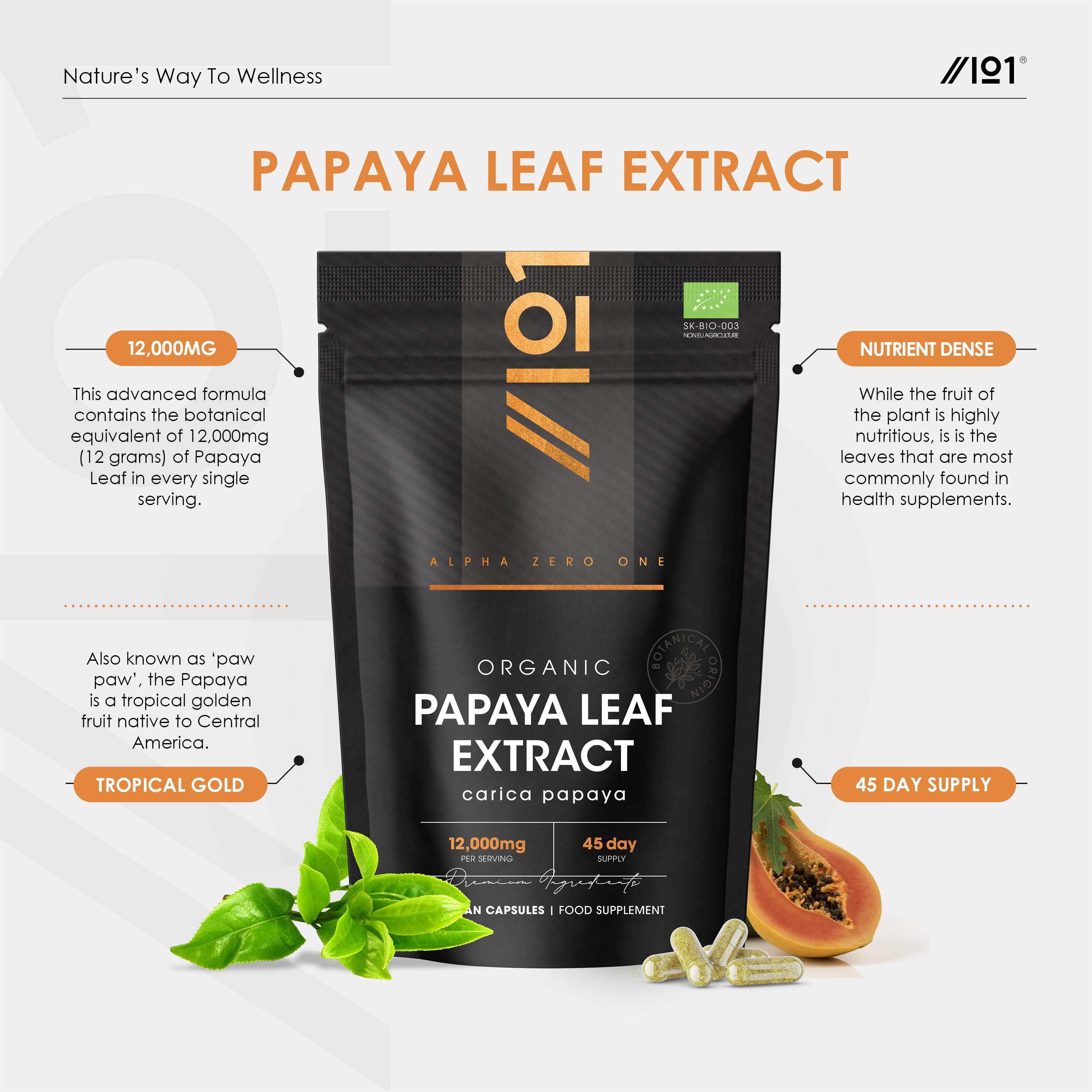 Papaya-Blattextrakt-Kapseln 12,000mg - Roher Carica-Papaya-Extrakt 10:1 - High Strength Papaya Enzyme Nutritional Supplements - 90 Vegane Kapseln