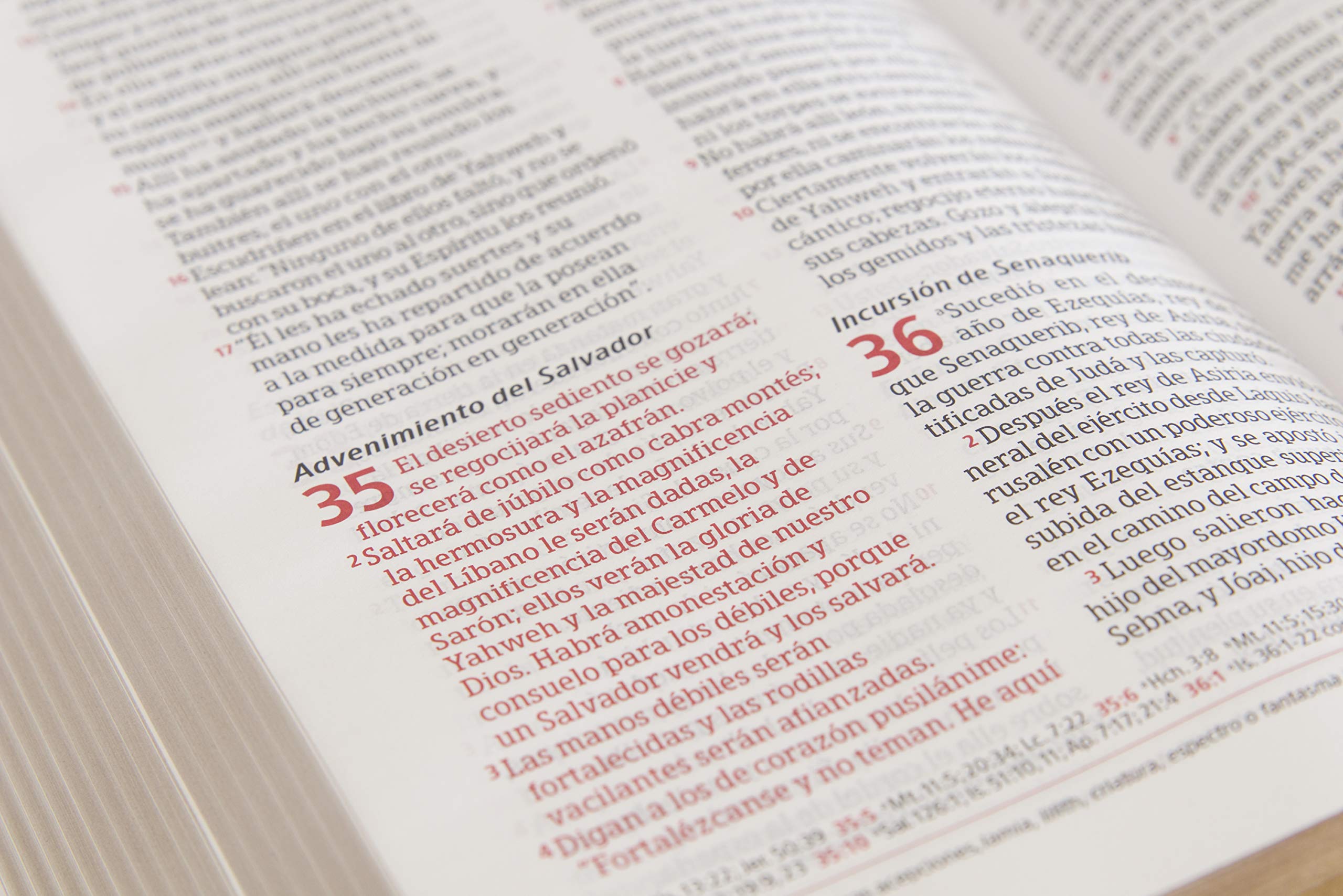 Biblia Peshitta / Peshitta Bible: Caoba, duotonon Símil Piel / Mahogany, Duotone, LeatherTouch