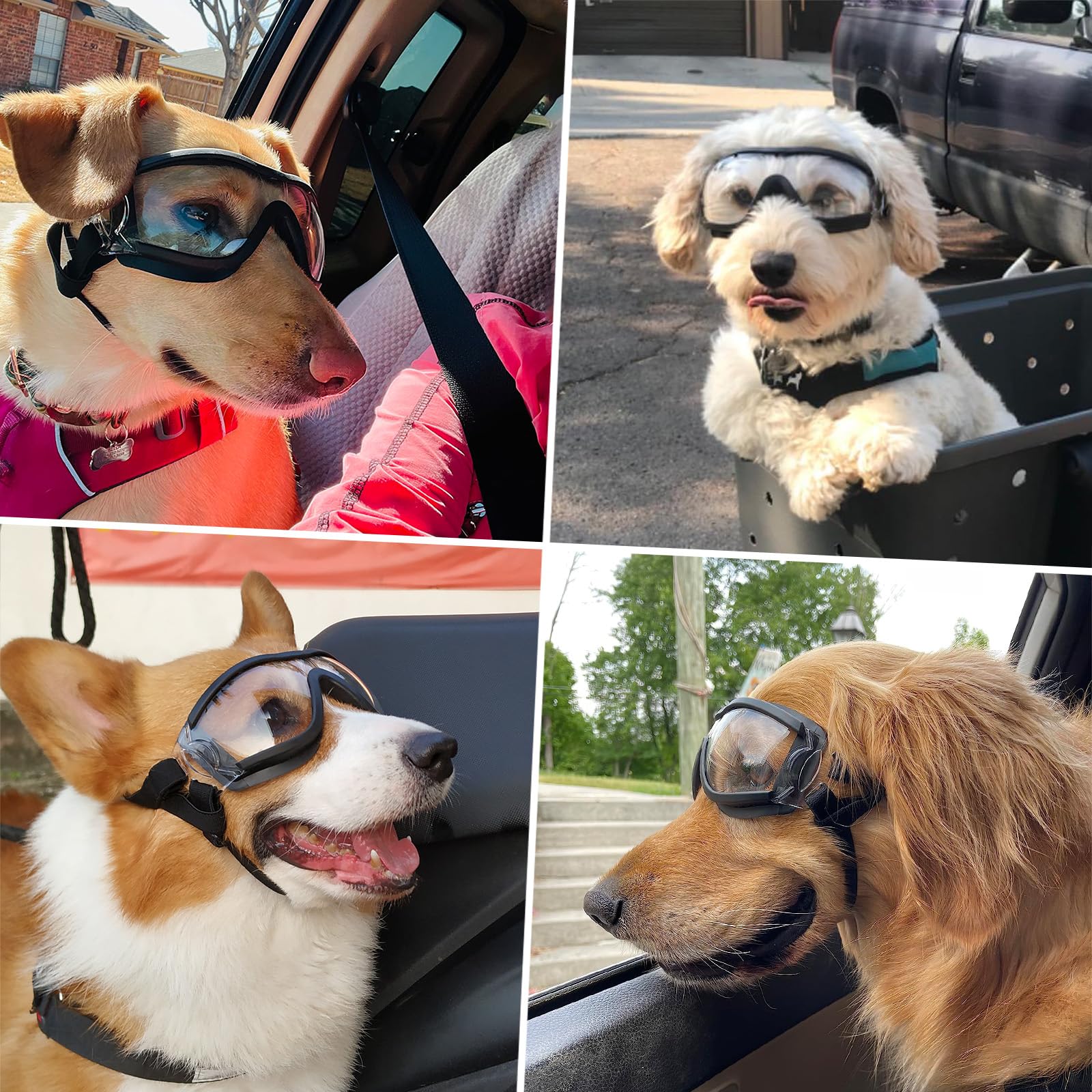 NAMSAN Occhiali da Sole per Cani con Cinturino Regolabile - Facile da Indossare - Protezione per Gli Occhi per Cani di Taglia Medio-Grande