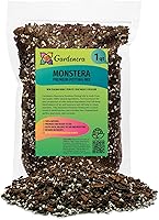 Vista 45 de Gardenera - Mezcla para macetas de alta calidad, mezcla libre de tierra para Aroides, medio de cultivo para plantas