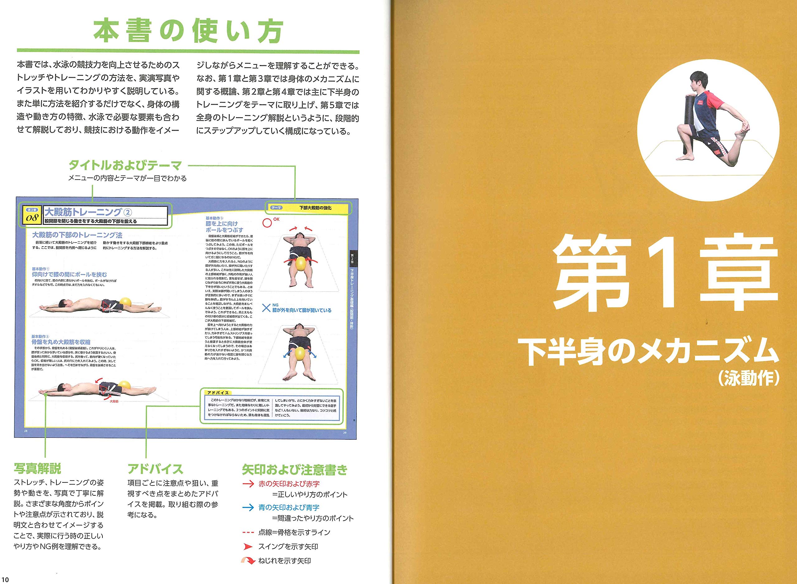 選手とコーチのための競泳マニュアル J.E.カンシルマン 【公式通販】