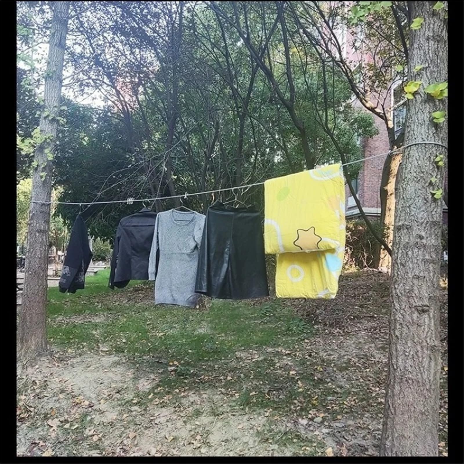 Wäscheleine Ausziehbar Tragbare, Winddichte Linie aus Edelstahl | Edelstahl Tragbare winddichte Linie Indoor Outdoor Kleidung Trocknen Camping Liefert Seil(8M)