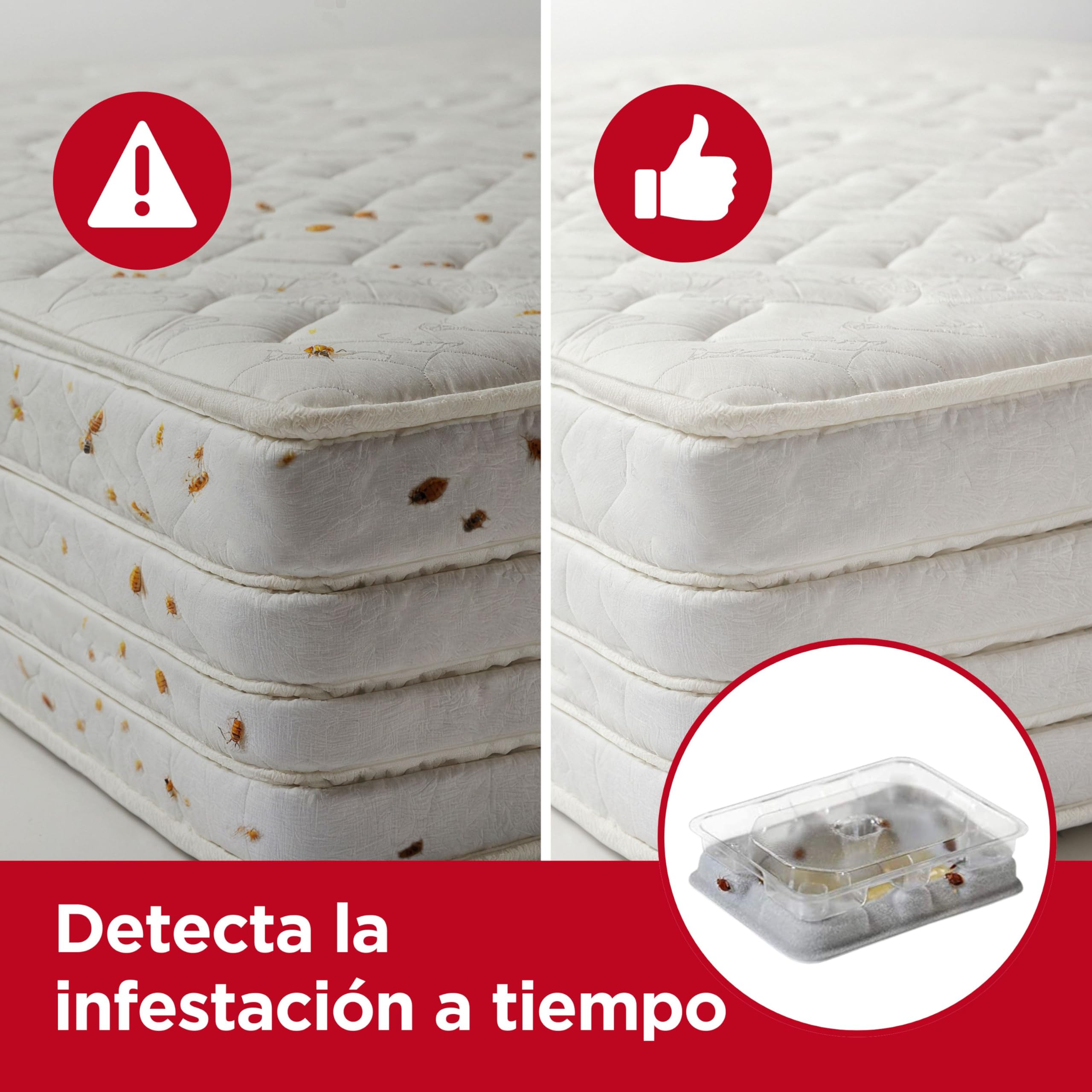 Catchmaster Detectores de chinches - 4 Unidades - Producto Potente contra plagas - Compatible con Fundas Protectoras - Monitor de chinches