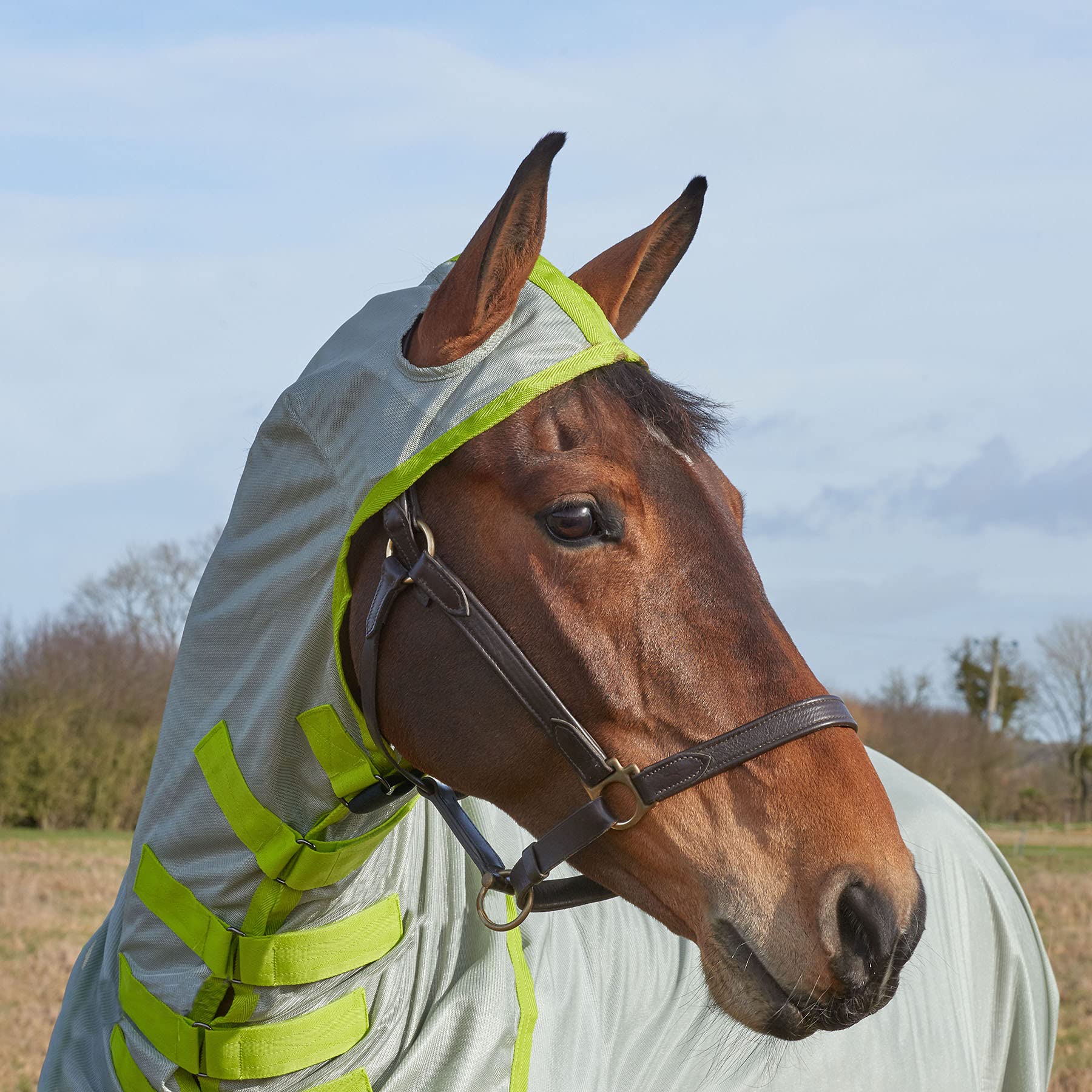 Derby House Evolution Recycled Fly Rug - Silver Sea Green 6ft3 