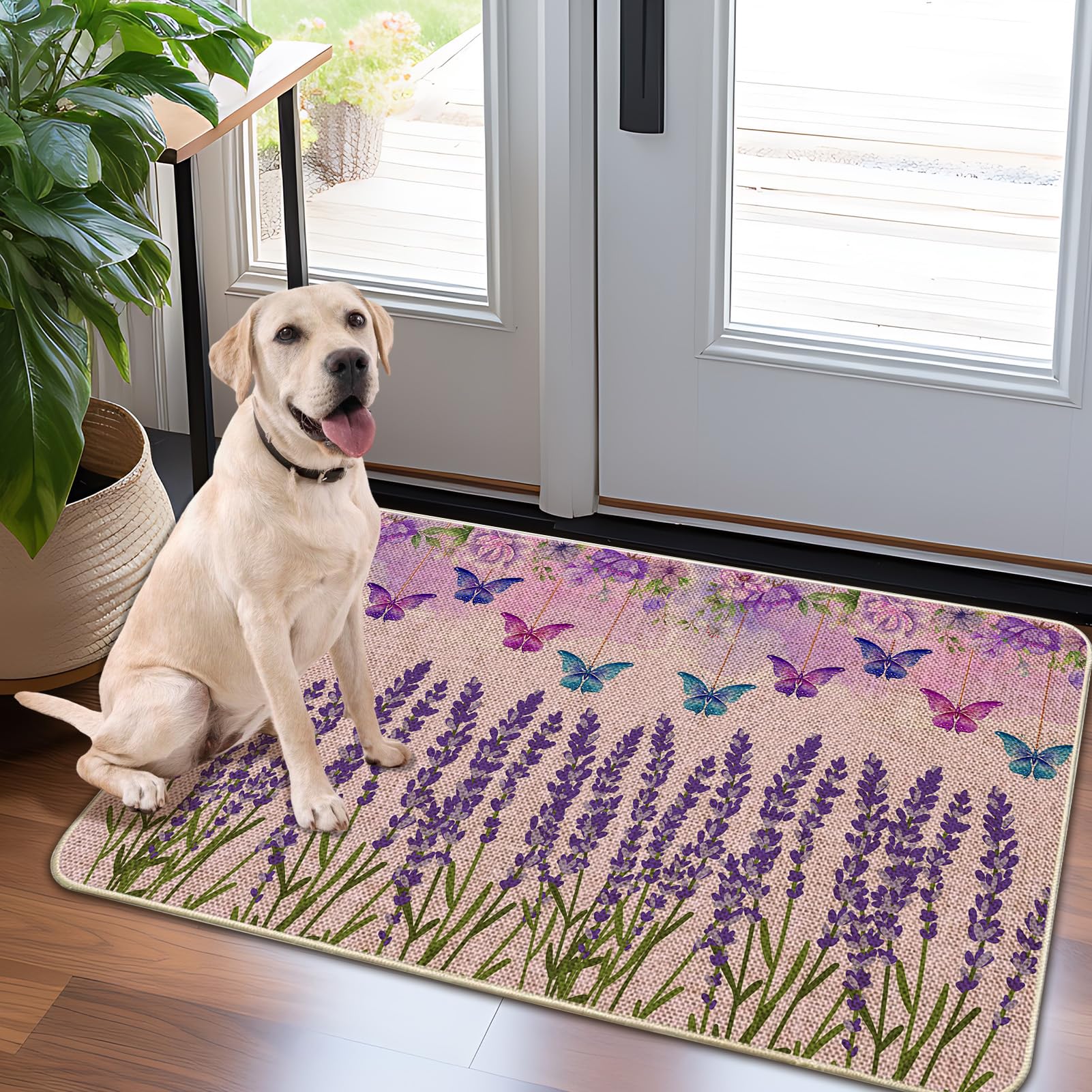 Door Mat-Non-Slip Rubber Back Welcome Mat for Front Door,Indoor Outdoor Entryway,Durable & Absorbent Low Profile Doormat for Home Entrance,Lavender 17x30 in
