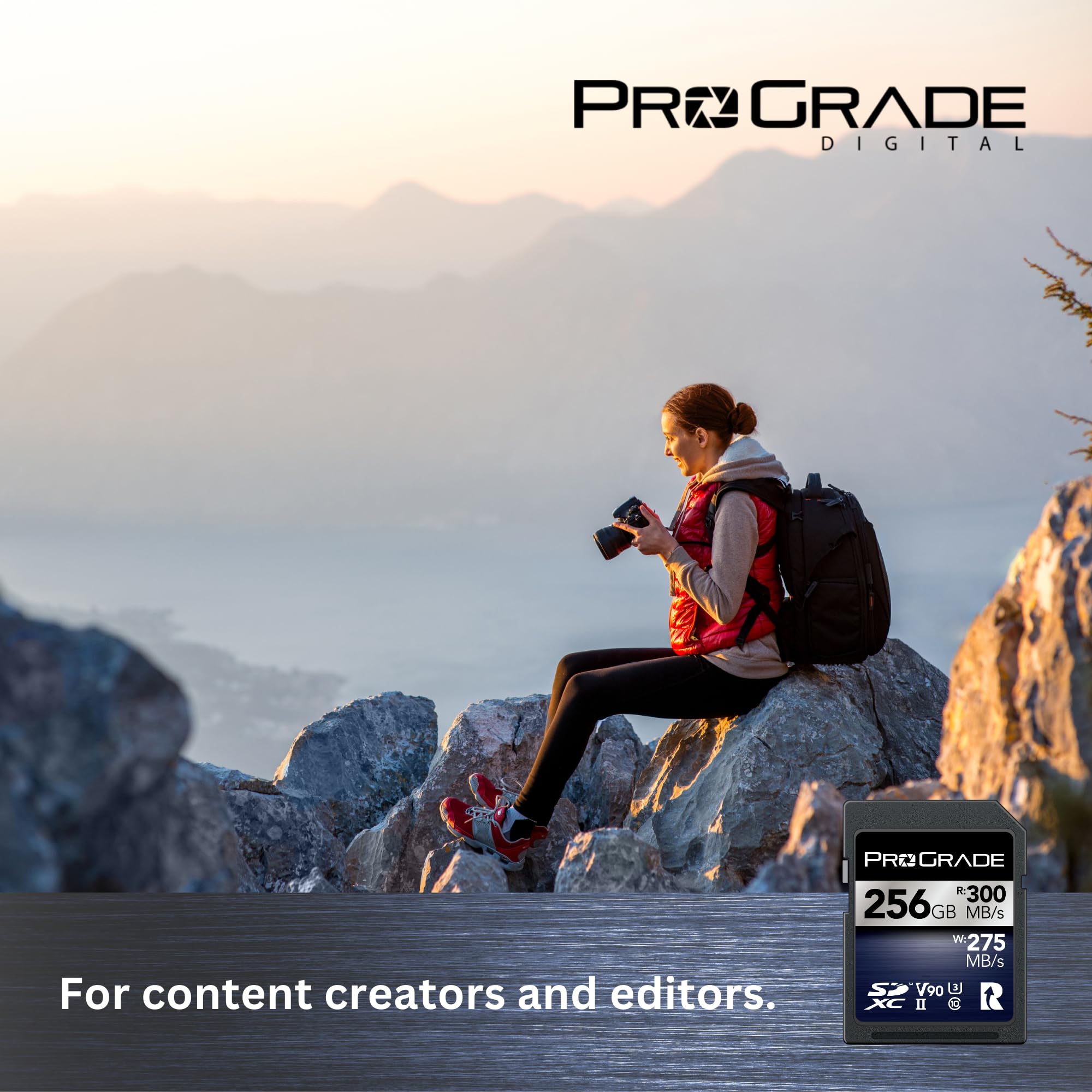 Carte Mémoire ProGrade Digital SDXC UHS-II V90 Iridium (256 Go)