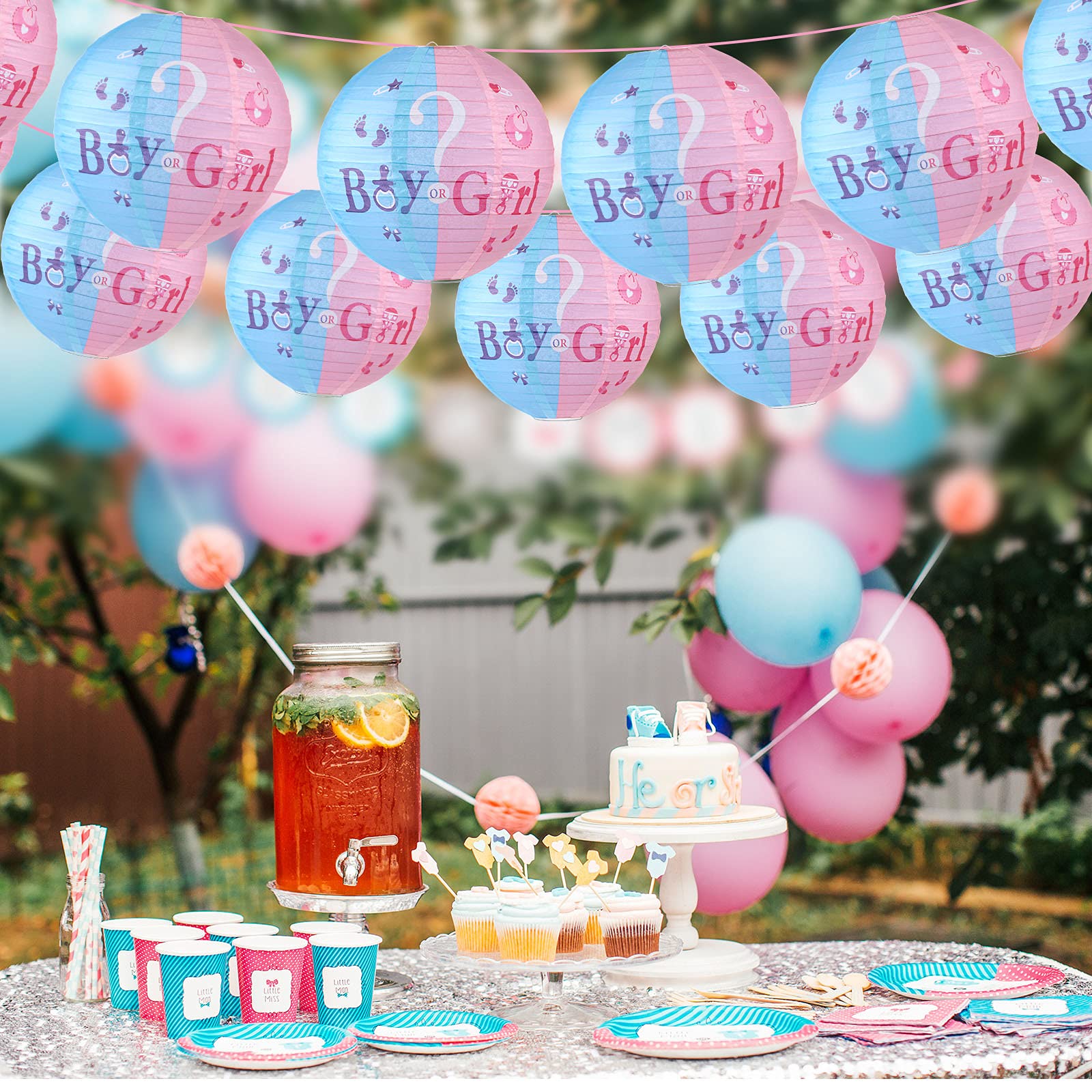 Buy 6 Pieces Gender Reveal Party Hanging Decorations Blue Pink Baby Boy or Girl Gender Reveal