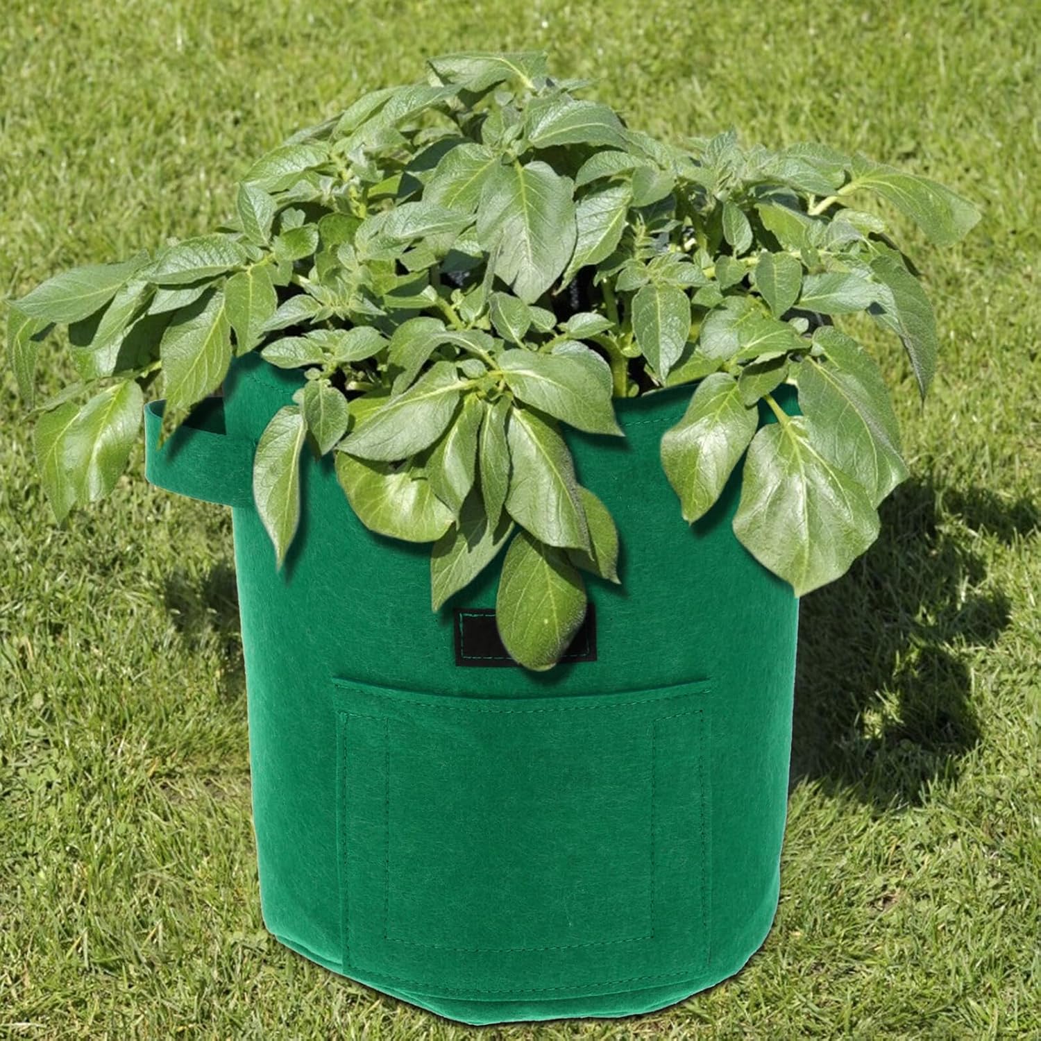 2 Pcs Potato Plant Grow Bags 5 Gallon Non-Woven Aeration Fabric Pots for Outdoor Gardening Vegetable Planters Sturdy Felt Nursery Containers