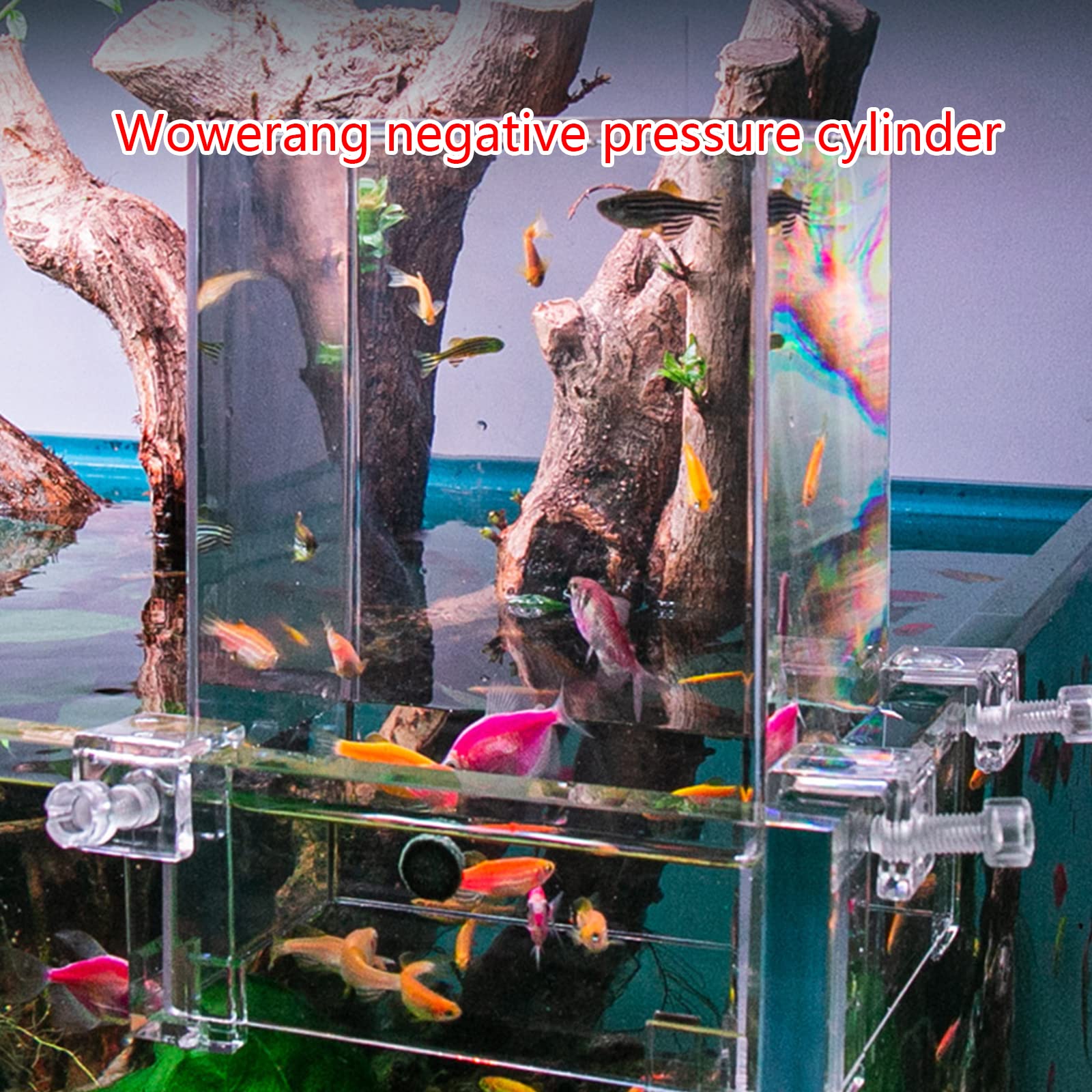Aquarium Fisch Züchter Box Fisch Isolation Zuchtbox Schlüpfen Zuchtbox Fisch Brutkasten Fisch Brutkasten