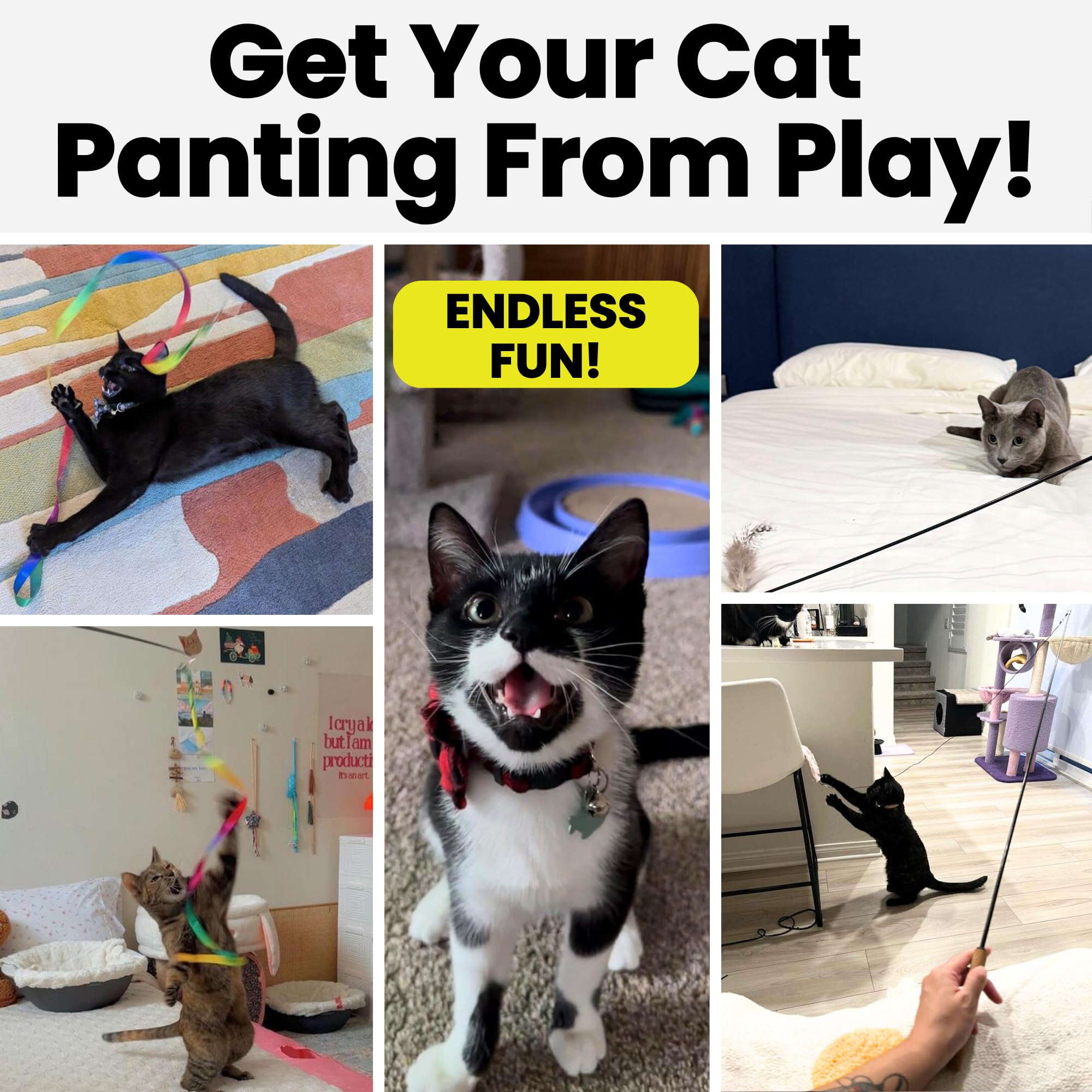 Forever Stick - Paquete de juguetes para gatos – El juguete irrompible para gatos con cuerdas de varita extra para gatos, cintas arcoíris y 6 juguetes de plumas, paquete de juguetes de