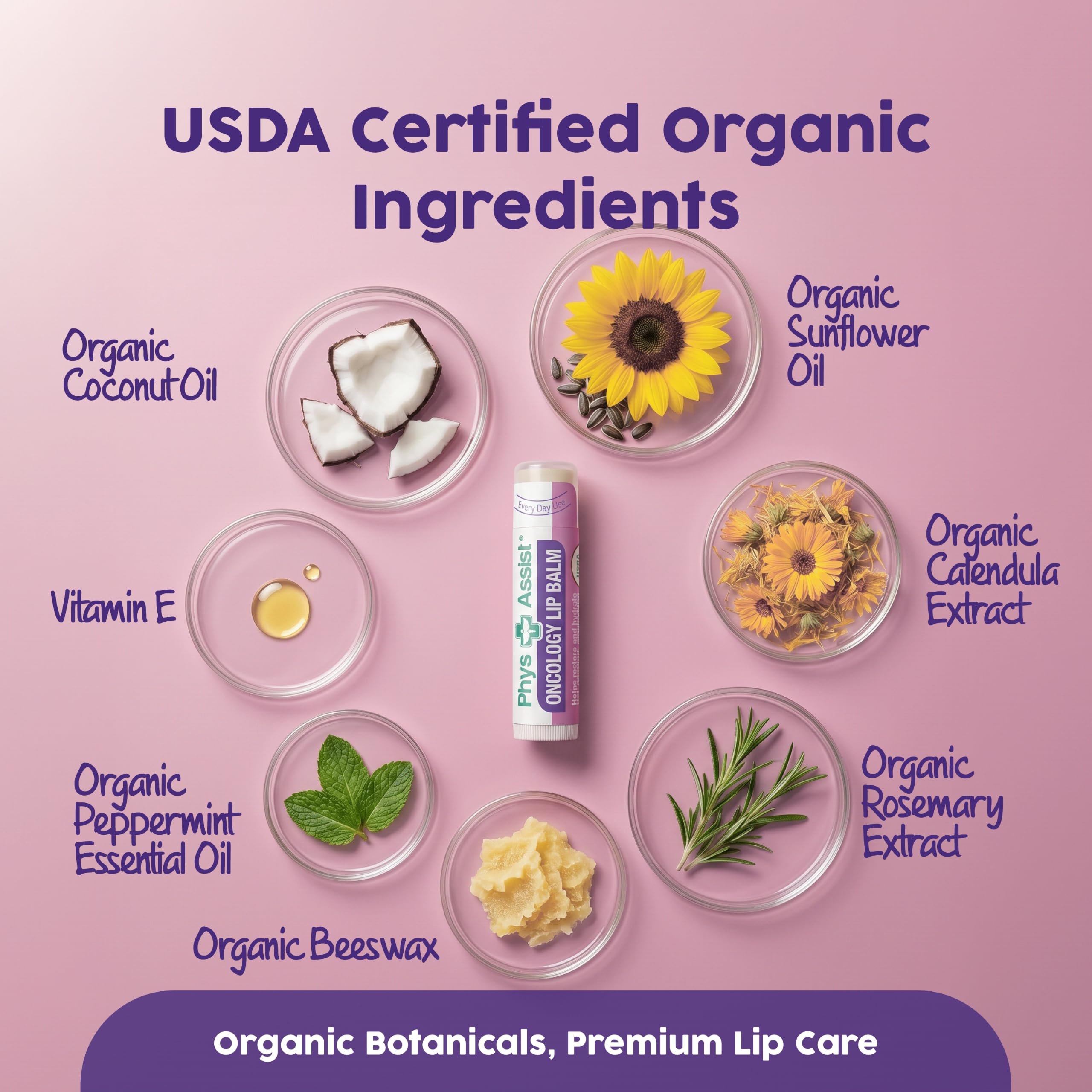 Oncology Lippenbalsam USDA Organic, Hydrate Dry Parched Lip Moisturizing - 3 Pack