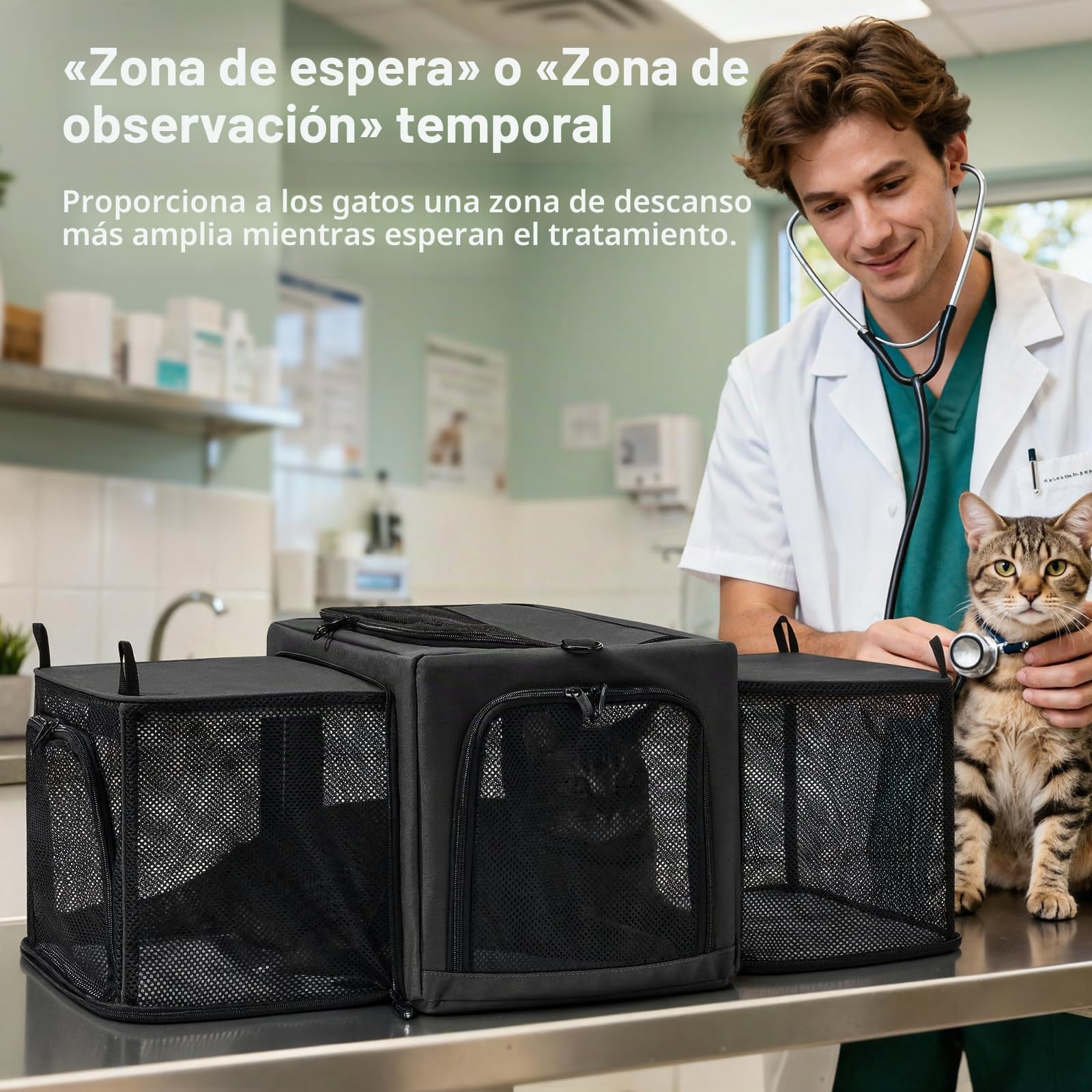 Pecute Transportador para Gatos expandible, Extra Estable, Tela de Malla Transpirable, transportador Grande para Gatos con área Oculta, transportador Suave para Mascotas, Viajes, Camping, Salidas