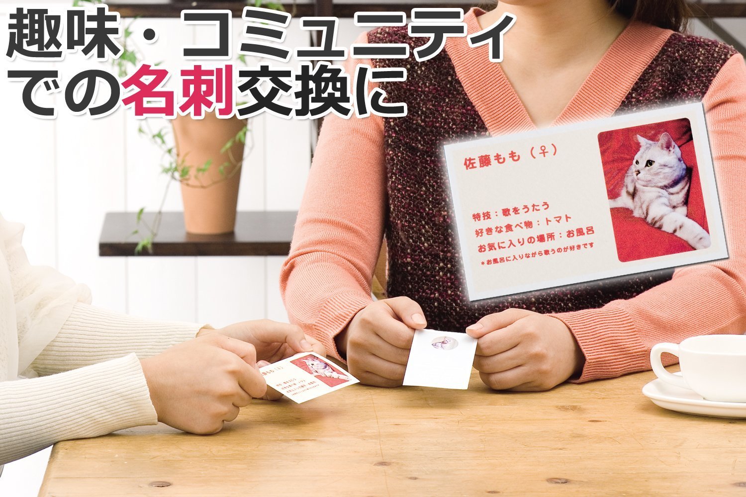 | （まとめ買い） エーワン クリアエッジIJP専用白無地両面10入
