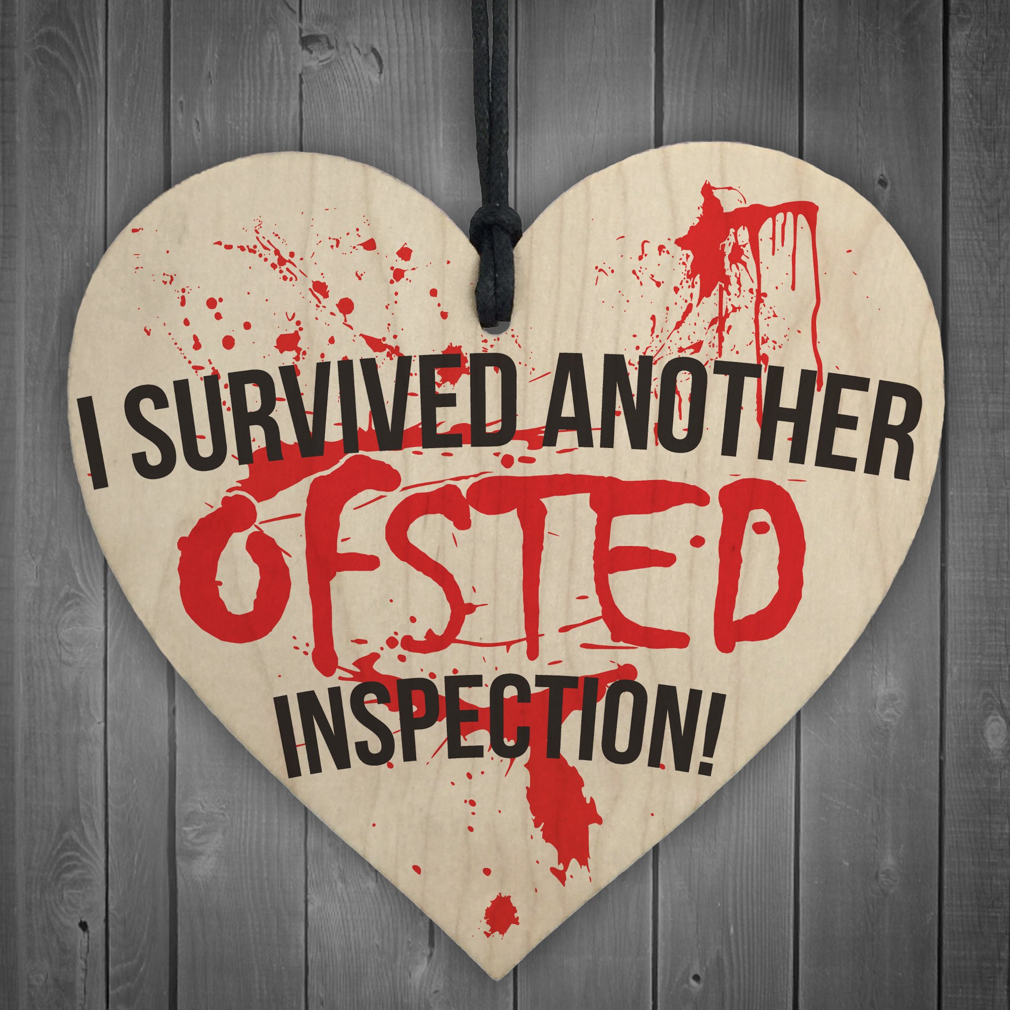 Red Ocean I Survived Ofsted Inspection Novelty Wooden Hanging Heart Plaque Teacher Gift