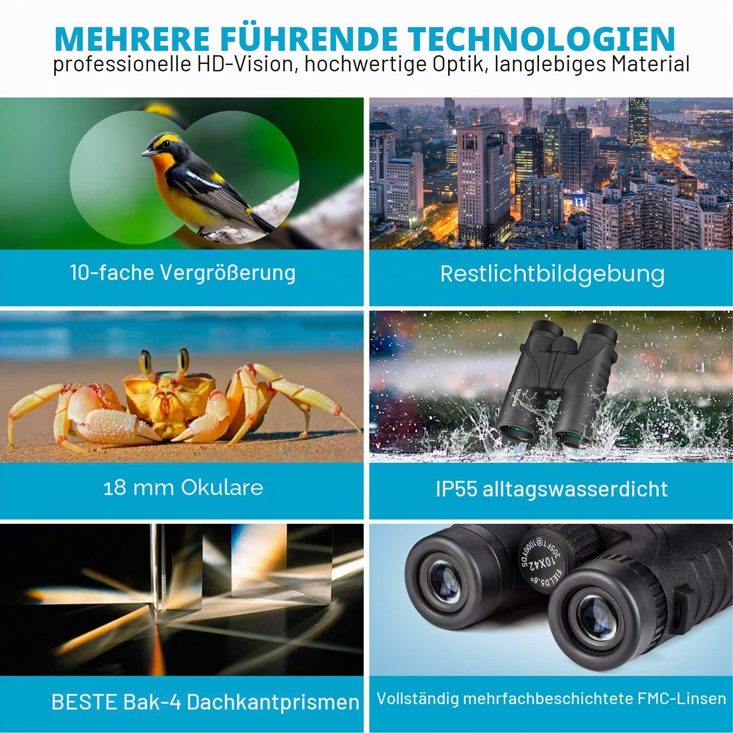 10x42 Fernglas für Erwachsene - Professionelles HD Dach BAK4 Prismenlinse Fernglas für Vogelbeobachtung, Jagd, Reisen, Sport, Kreuzfahrt, Konzert, mit Tragetasche