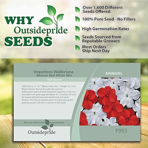 Miniatura 3 de Outsidepride Impatiens - Plantas de flores de jardín de sombra roja y blanca para macetas, cestas colgantes, contenedores, cajas de ventana, 200