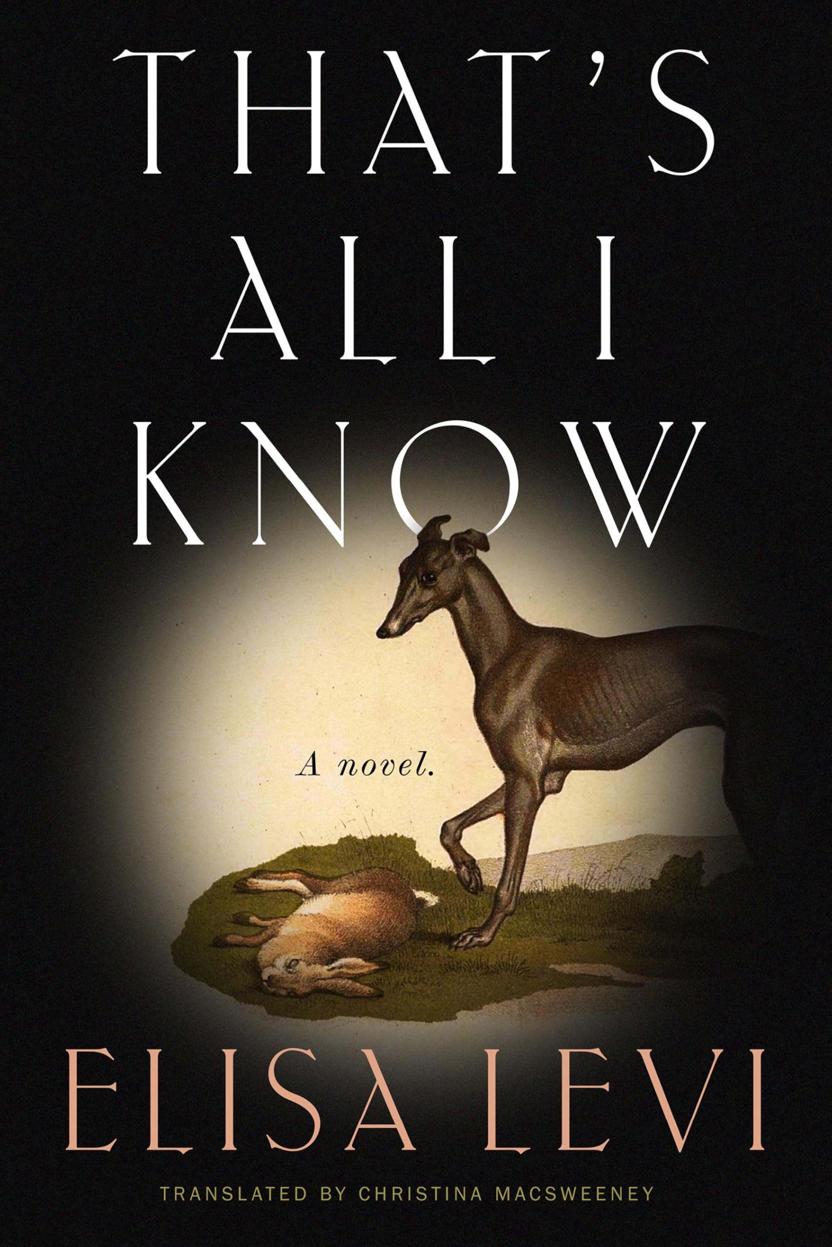 That's All I Know: A Novel