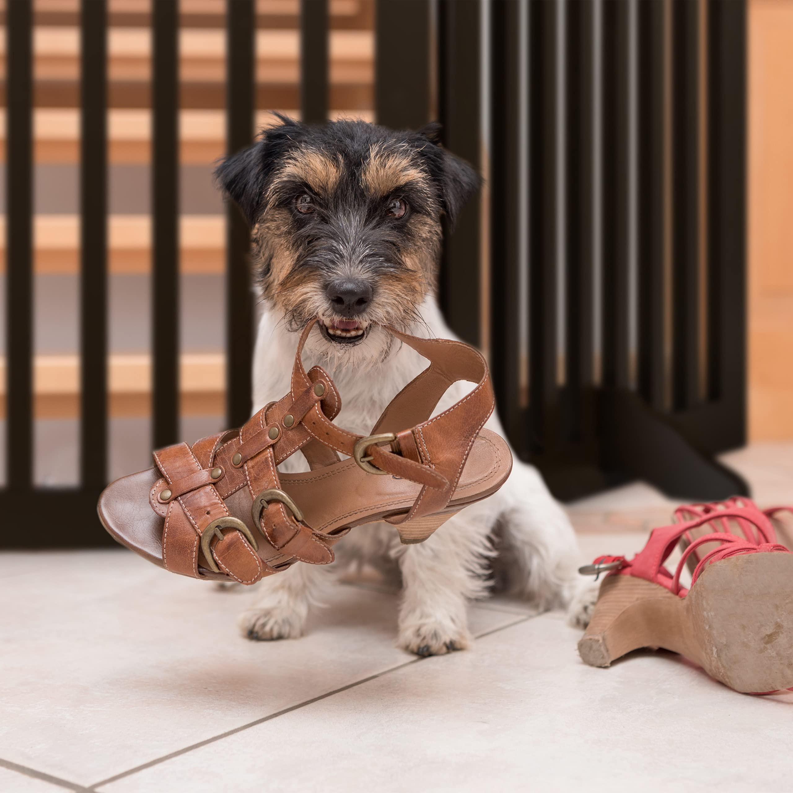Relaxdays Cancelletto per Animali, Barriera per Cani e Gatti, Recinzione Scale, Cancellino HxL: 70 x 154 cm, Marrone