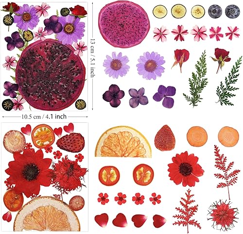 Miniatura 4 de LUCISKY Flores secas prensadas, frutas para moldes de resina, 75 piezas surtidas de frutas naturales reales, flores, hojas, pétalos para álbumes de