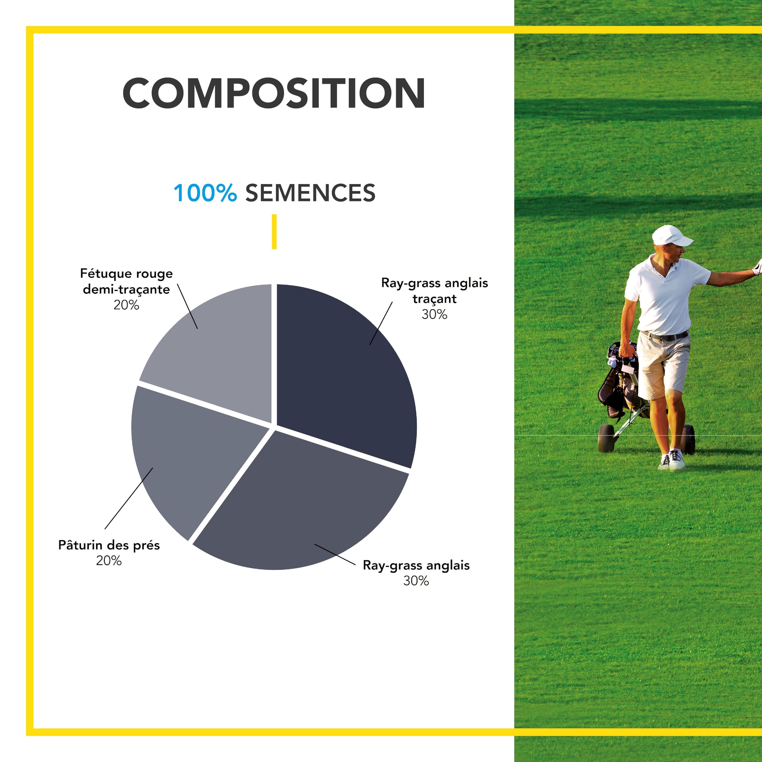 BARENBRUG - Gazon Ligue Pro et Golf - pour Terrains de Compétition - Esthétisme, Performance - Fin, Dense, Solide - Variétés Autorégénérantes Limitant Plantes Indésirables - Fabriqué en France - 3KG