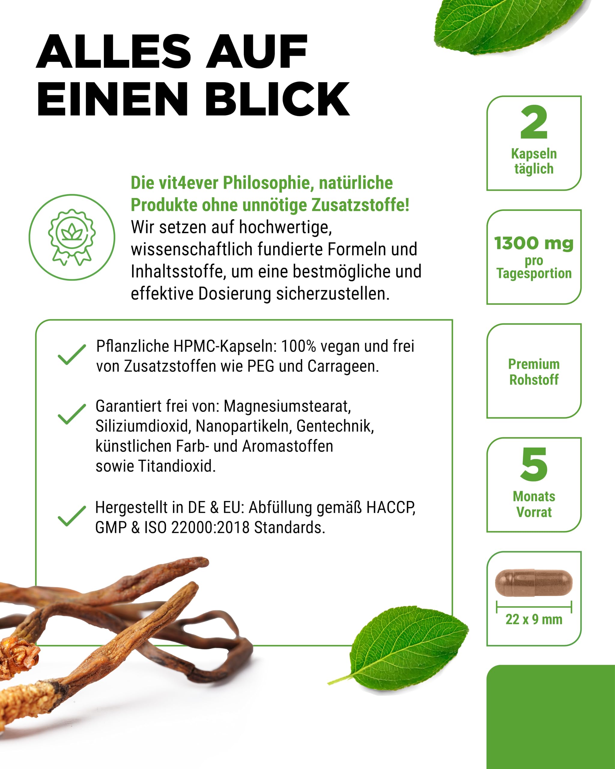 vit4ever Cordyceps Pilz - 300 Kapseln mit 650 mg echtem CS-4 Extrakt - 40% bioaktive Polysaccharide - Hochdosiert - Raupenpilz - Vegan