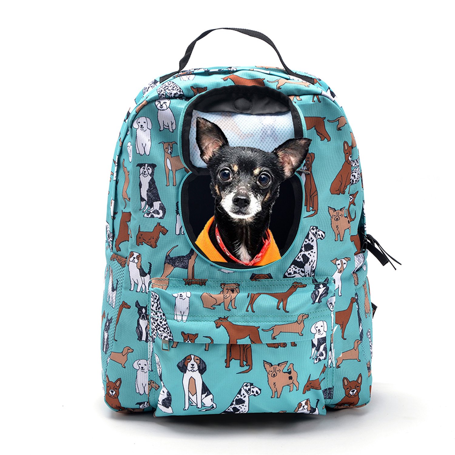 Pet Carrier Backpack for Small Dog, Cat Carrying Backpack, Classic Concealed for Outdoor Travel - Blue