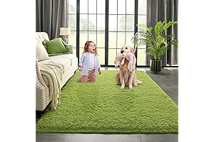 Kimicole Green Area Rug: The Perfect Touch of Comfort and Style for Your Home