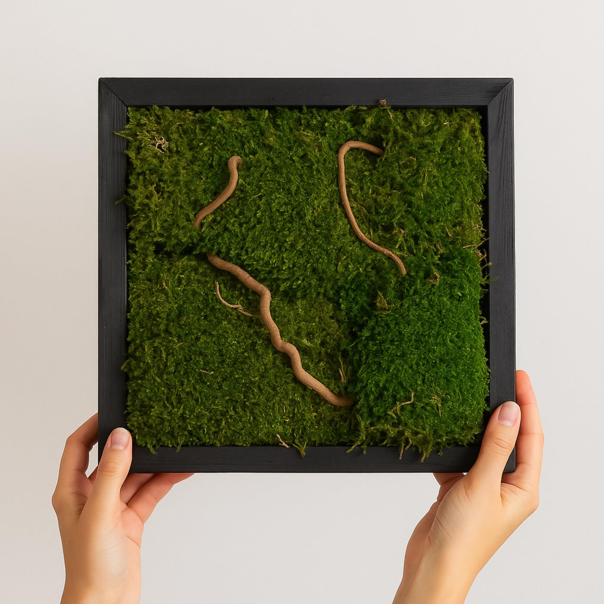 Quadro Bosco con Muschio Stabilizzato 30x30 cm - Made in Italy - Quadretto da Parete con Cornice Nera Per Decorazioni in Soggiorno - Muschio e Rami di Salice - con Gancetto (Moderno, Nero, 30x30)