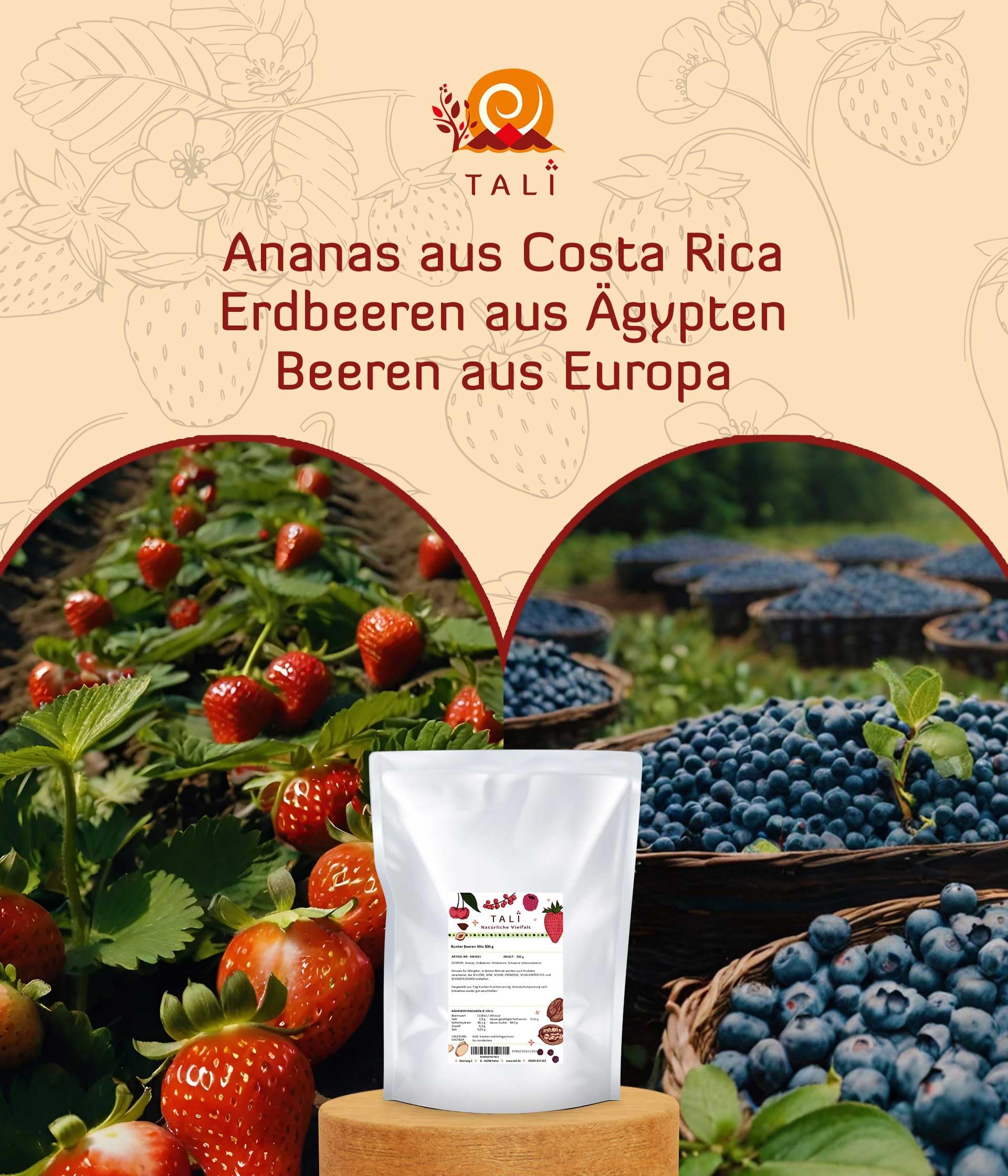 TALI Bunter Beeren Mix 1000 g | Gefriergetrocknete Ananas, Erdbeeren, Himbeeren, Schwarze Johannisbeeren