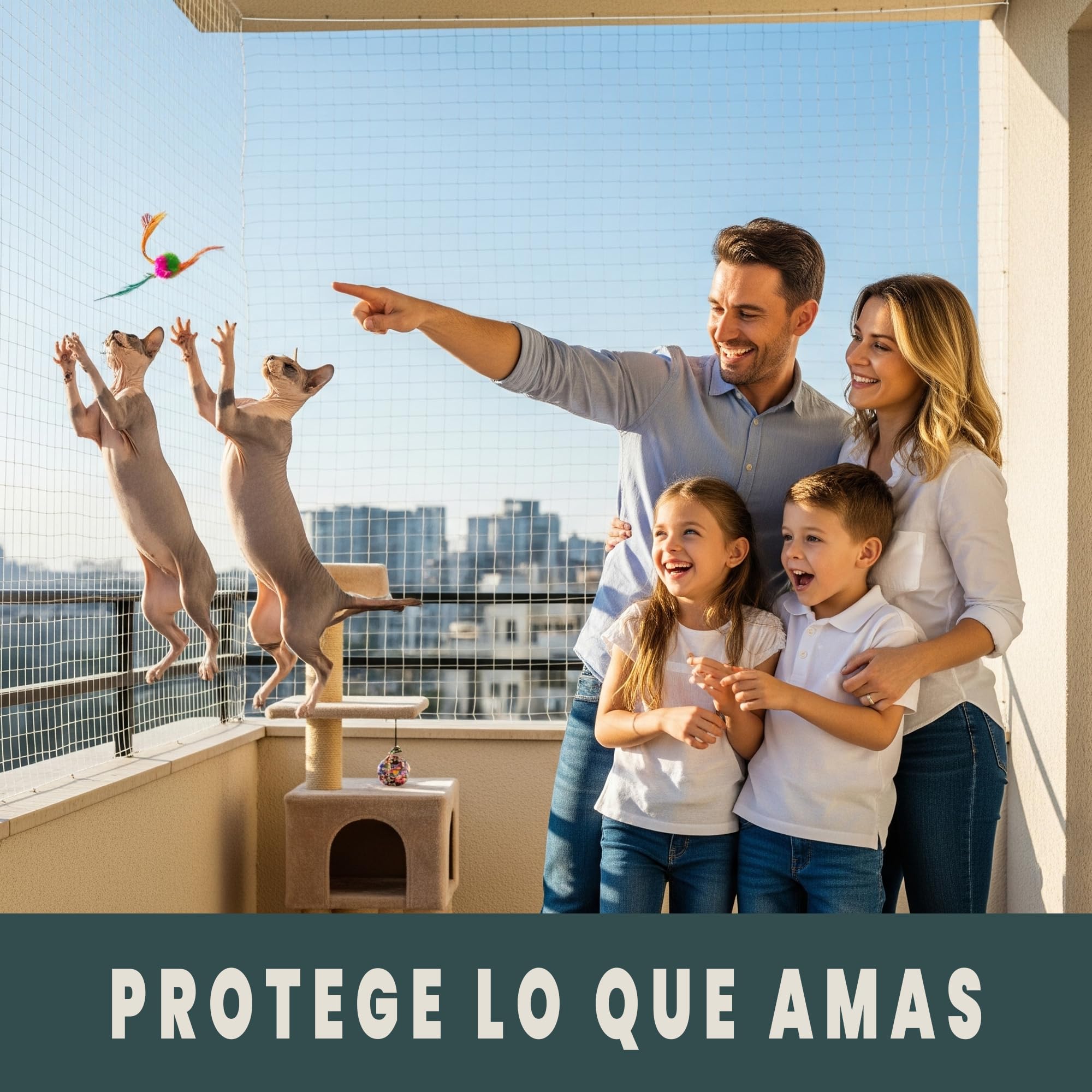 Red Para Gatos Terraza 8x3m Seguridad Transparente Ideal Balcon Ventana Tragaluces Proteccion Exterior Interior Malla Antidesgarro Duradera Kit Completo Montaje Cuerda Ganchos Bridas Juguete Regalo