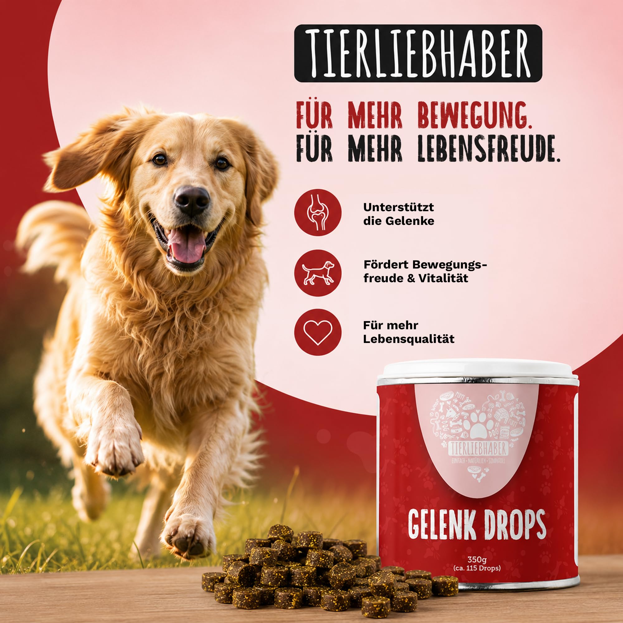 TIERLIEBHABER Gelenk Drops Gelenktabletten Hund – Grünlippmuschel Hund Drops tierärztlich entwickelt – Hunde Gelenktabletten zum Gelenk- & Knochenschutz für Hunde mit Teufekskralle, MSM & Kollagen