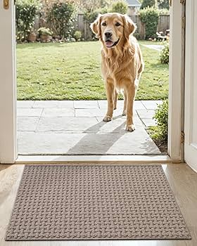 D-Matページです！ Amazon.com : DEXI Front Entryway Door Mat Non Slip 17x30, Washable